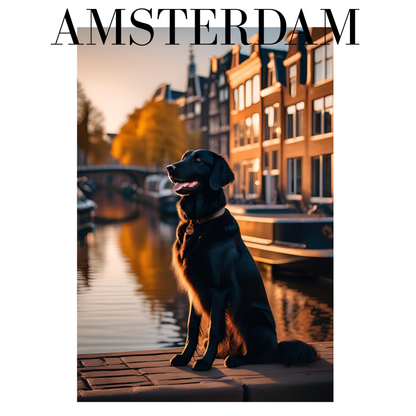T-shirt: Amsterdam
